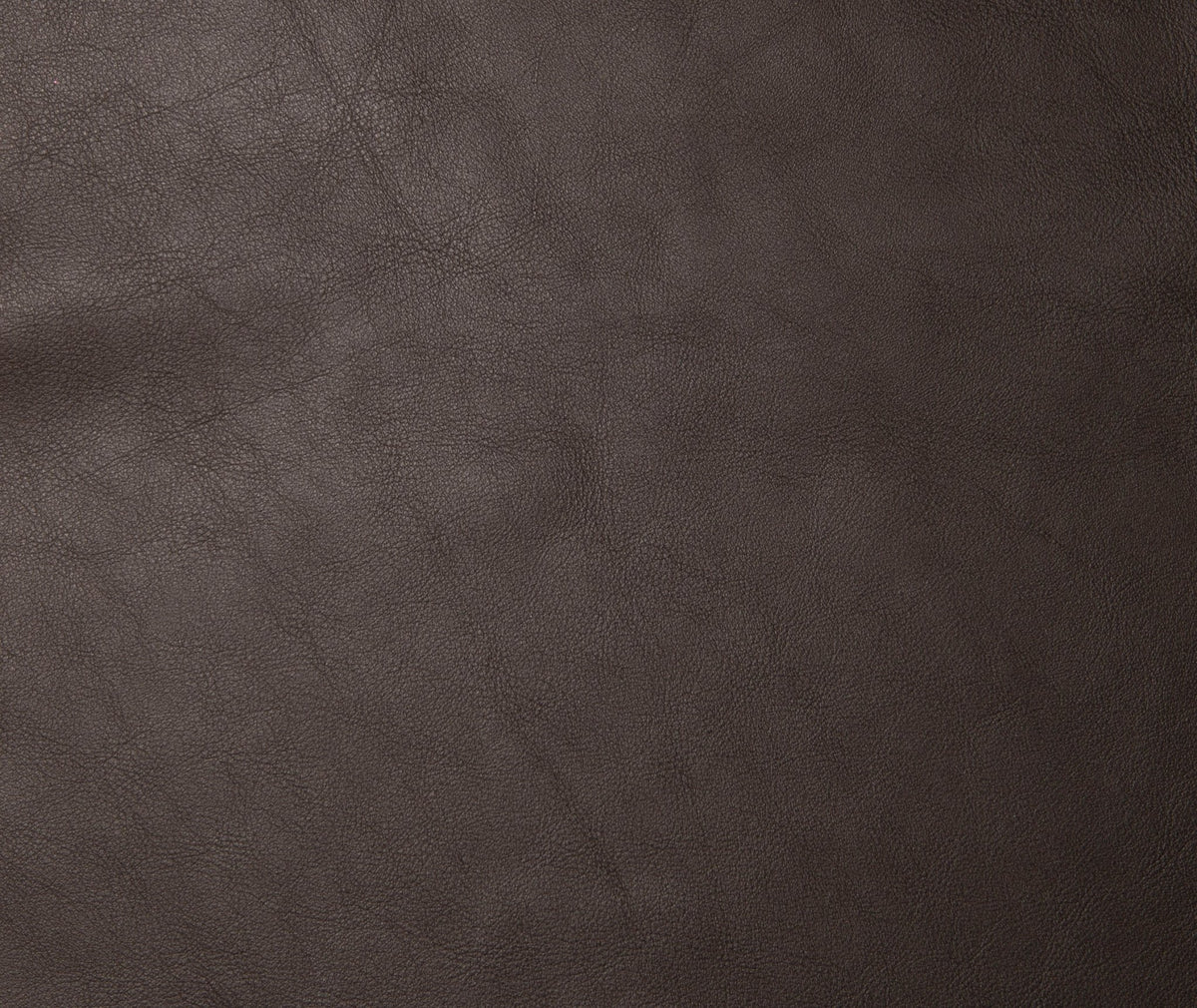 Scandi Lux Senior Cushion