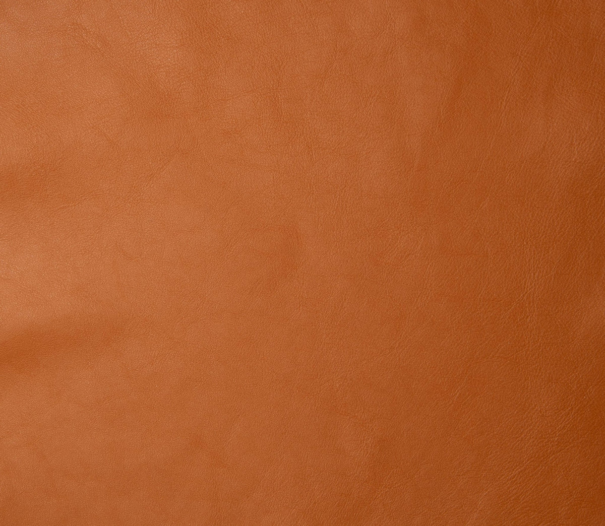 Scandi Lux Senior Cushion